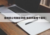 伯利兹公司做区块链[伯兹利是哪个国家]