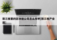 新三板里的区块链公司怎么样啊[新三板产业园]